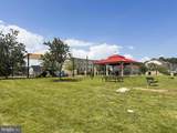 807 Boxwood Drive - Photo 4