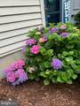 6502 Coachleigh Way - Photo 41