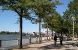 490 M Street - Photo 55
