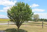 365 Hillcrest Road - Photo 22