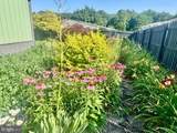 418 Broad Mountain Avenue - Photo 42