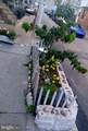 644 Hilton Street - Photo 7