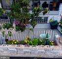 644 Hilton Street - Photo 8