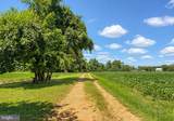 45776 Boothe Road - Photo 20