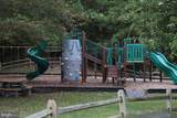 33542 Volley Court - Photo 35