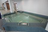 33542 Volley Court - Photo 42