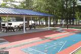 33542 Volley Court - Photo 46