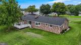 38884 Collinwood Drive - Photo 69