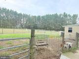 14540 Drapers Mill Road - Photo 16