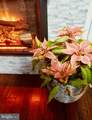 432 Rolling Rd - Photo 55