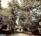 6304 Georgetown Road - Photo 4