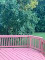 11102 Spring Meadow Boulevard - Photo 71