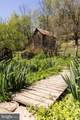 2084 Little Italy Road - Photo 60