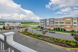 24258 Zinfandel - Photo 23