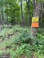 Lot 19 Tillamook Lane - Photo 9