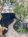 802 Mangold Street - Photo 4
