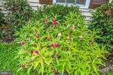 108 Plum Tree Court - Photo 47