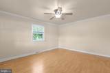 6519 Old Plank Road - Photo 4