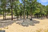 314 Lakeshore Drive - Photo 47
