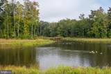 33298 Lone Cedar Landing - Photo 100