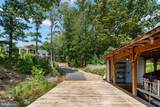 38 Walnut Hill Drive - Photo 115