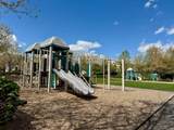 4705 Thoroughbred Drive - Photo 46