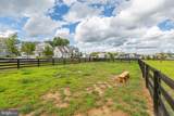 19 Artemisia Way Way - Photo 42