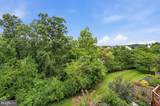 13222 Goose Pond Lane - Photo 44