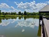 40982 White Clover Lane - Photo 85