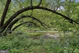 35701 National Pike - Photo 42