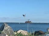 105 Night Heron Court - Photo 5