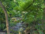 16911 Dutch Hollow Rd - Photo 12