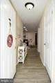 11944 Cardamom Drive - Photo 4