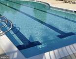 43242 Mission Hills Way - Photo 49