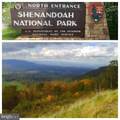 63 Buck Mountain Road - Photo 14