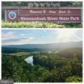 63 Buck Mountain Road - Photo 23