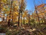 63 Buck Mountain Road - Photo 75