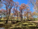 63 Buck Mountain Road - Photo 76