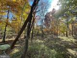 63 Buck Mountain Road - Photo 79
