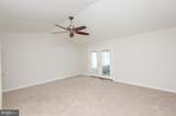 103 Governors Avenue - Photo 23