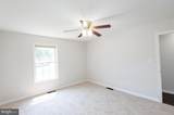 103 Governors Avenue - Photo 37
