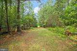11096 Tolivers Forest - Photo 66
