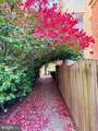 832 William Street - Photo 37