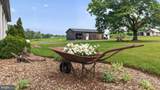 964 Creek Road - Photo 53