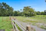 21 Loree Lane - Photo 79