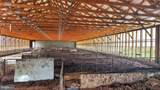 858 Creek Road - Photo 14