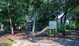 2037 Royal Fern Court - Photo 22