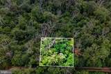 Lot 4 Saltlick Trail - Photo 3