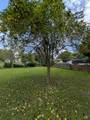 111 Maple Avenue - Photo 34
