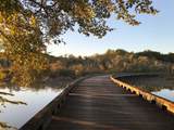 13103 Duley Station Road - Photo 3